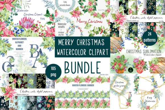 Download Christmas Set, Botanical Illustrations, - Illustrations Collection